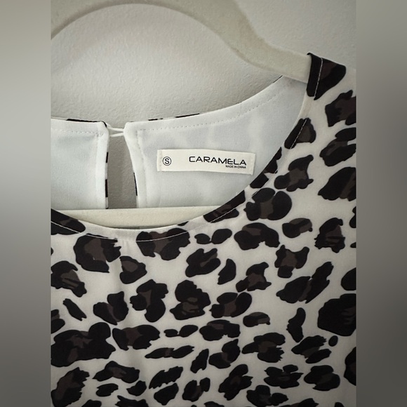 Caramela Leopard Print Ruffle Shift Dress – Size S - Picture 11 of 11